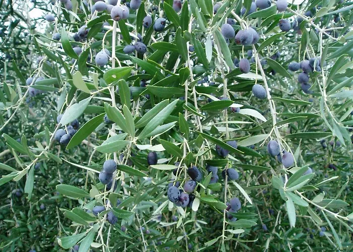 Daire With Parking Space Banjol, Rab - 14138