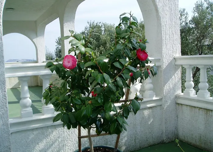 With Parking Space Banjol, Rab - 14138 * Banjol